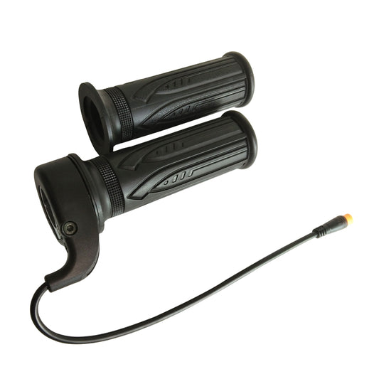 Budget EBike Full Twist